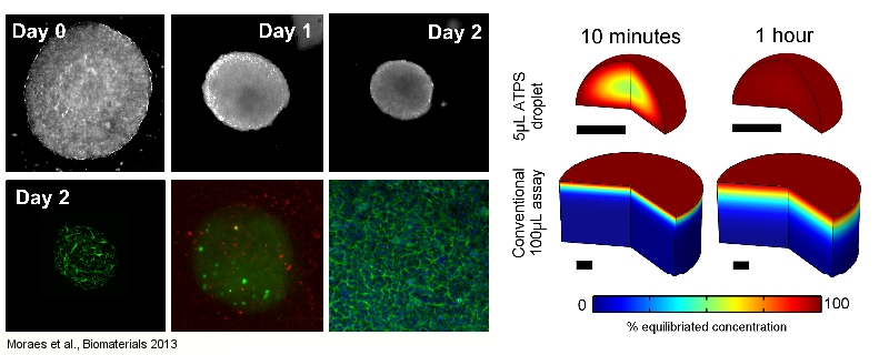 ATPS_biomaterials